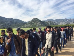 Afganlar 40 Yıl Sonra 2. Büyük Göç Dalgası İle Türkiye’ye Akın Ediyor