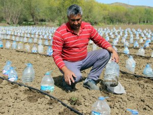 Hurdacıdan Aldığı 3 Bin Pet Şişeyle Sera Yaptı