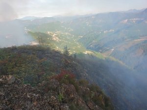 Giresun’da Örtü Yangını