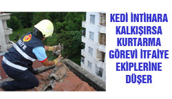 Hadi gel pisi pisi