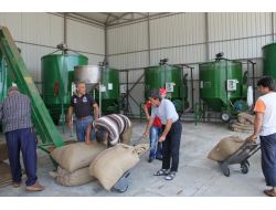 Fındıkta Makine İle Kurutmaya Talep Arttı