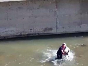 Harşit Çayı’ndaki Köpeği Kurtarmak İçin Seferber Oldular