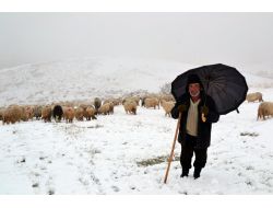 Ordu’ya Yılın İlk Karı Düştü