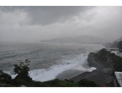 Zonguldak'ta Etkili Sis