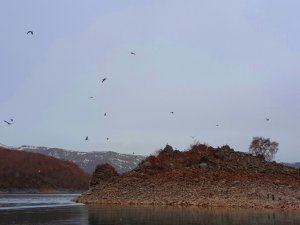 ’Martı Adası’ Keşfedilmeyi Bekliyor