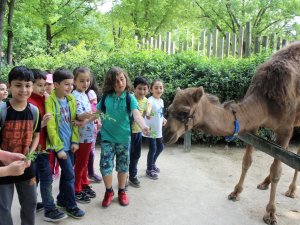 Hayvanat Bahçesinin Bebek Üyeleri İlgi Odağı Oldu
