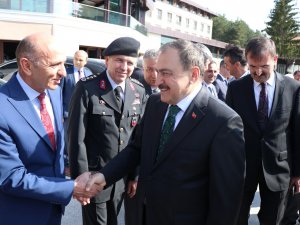 "İstedikleri Kadar Çatı Kursunlar..."