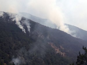 Hatay’daki Orman Yangın Söndürülemedi