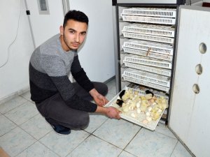 Hobi İçin Başladı, Şimdi İhracatını Yapıyor