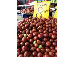 Şeker Hastalığının Düşmanı Hünnap