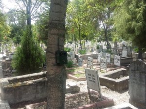 Gizemli Kız İçin Fotokapan Kuruldu