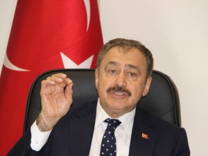 "Bal Ormanları Kuruyoruz"