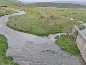 Aym’den ’Temiz Su İnsan Hakkıdır’ Kararı