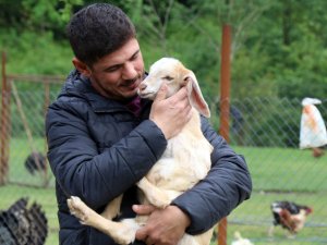 20 Günlük Keçiye Evladı Gibi Bakıyor
