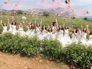 Gül Festivali Başlıyor