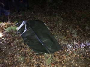 Mantar Toplamaya Giden Yaşlı Adam Ölü Bulundu