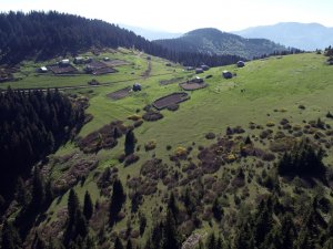 Karadeniz Yaylaları Şenleniyor