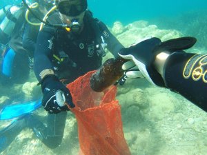 Deniz Dibi Temizlik Çalışmaları Sona Erdi