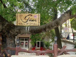 Türkiye’nin İlk Gül Müzesi: Güze