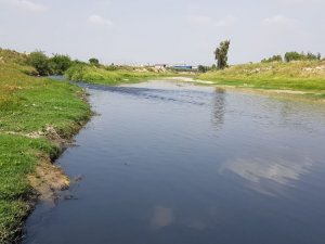Siyah Akan Savrun Çayı Endişelendiriyor