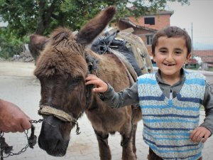 Okula Her Gün Eşekle Gidiyor