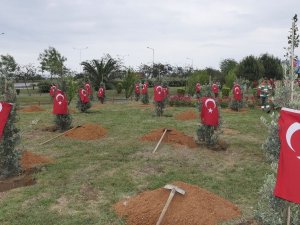 Afrin Şehitleri İçin Trabzon’da Hatıra Ormanı Oluşturuldu