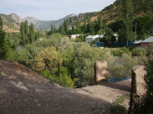 Beytüşşebap’ta Polenler Eve Hapsetti
