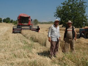 Hububat Alım Fiyatları Açıklandı