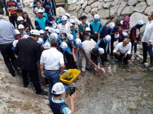 Kırmızı Benekli Alabalıklar Öğrencilerin Elinden Suya Kavuştu