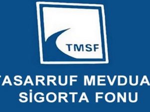 Tmsf’den Döviz Hamlesi