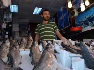 Balıkçı Tezgahları Balık Olmayınca Sebze Ve Meyve Tezgahına Döndü