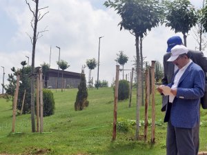 Trabzon Botanik Tanıtım Günleri Başlıyor
