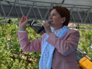 Akşener’den ’Kayısı’ Sözü