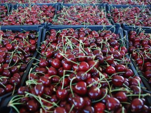 Kiraz Fiyatlarında Düşüş Vatandaşa Yaradı