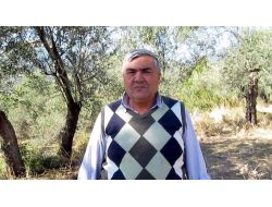 Çiftçilere Hem Kahvede, Hem Tarlada Tarım Dersi