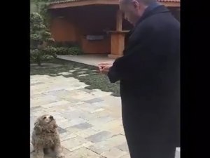 Erdoğan Küçük Köpeği Böyle Besledi
