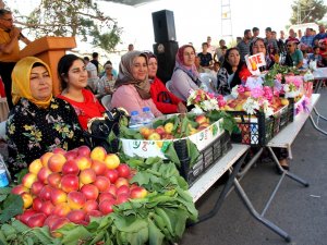 Amanoslar’da "Kayısı Festivali"