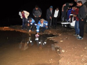 Gümüşhane’de Göletlere 50 Bin Sazan Yavrusu Bırakıldı