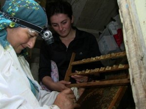 Sınırın Sıfır Noktasında Bal Üretiyorlar