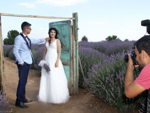 Lavanta Kokulu Doğal Fotoğraf Stüdyosu