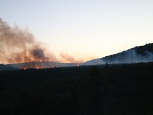 Aydos Ormanları’nda Korkutan Yangın