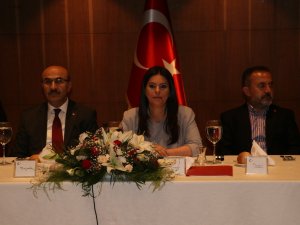 Bakan Sarıeroğlu, Adana Demirspor’un Sorunlarını Dinledi