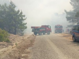Antalya’da Orman Yangını