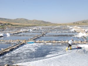 Burada Günde 120 Ton Tuz Üretiliyor