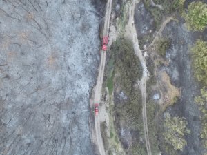 Yangın Sonrası Yürek Burkan Görüntüler