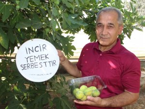İncirinden Yiyen Olmayınca Bu Tabelayı Astı