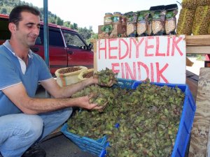 Yaş Fındık Pazara İndi