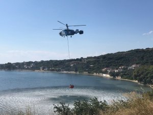 Yol Kenarında Başlayan Yangın Ormanlık Alana Sıçradı