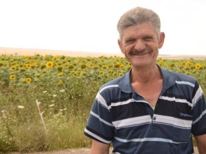 Ayçiçeği Üreticisi Bu Yıl Umutlu