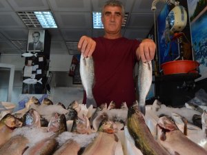 Türkiye Palamuda Doyacak